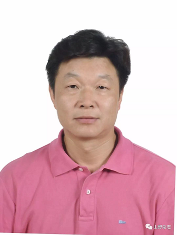 伟德体育